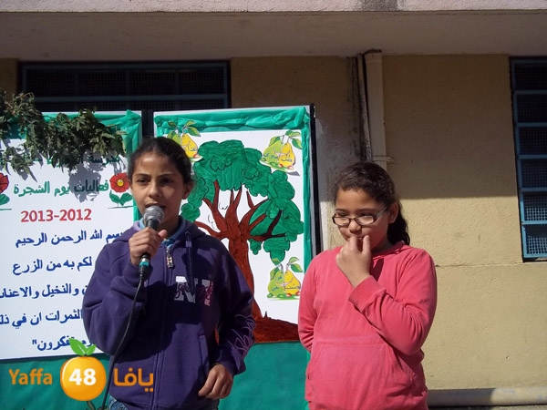 treesnewzahra2 (25).jpg